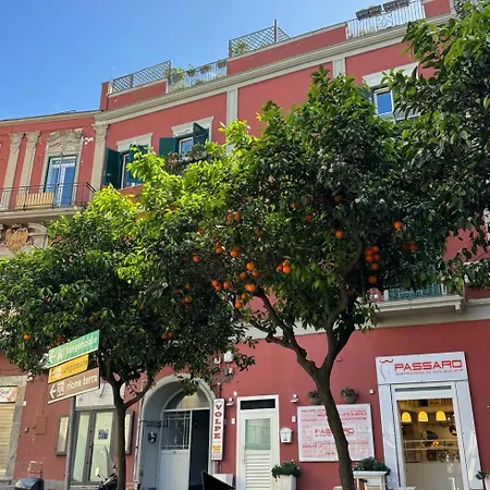 La Cassa Armonica-2